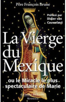 La vierge du mexique