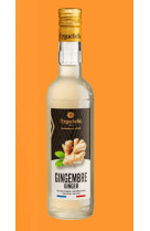 Sirop inedit gengembre (50 cl)