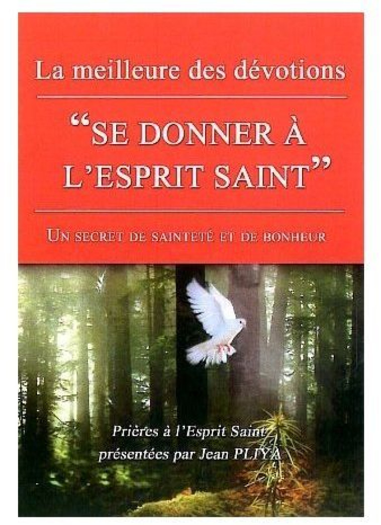 SE DONNER A L-ESPRIT SAINT - PLIYA JEAN - BONNENOUVELLE