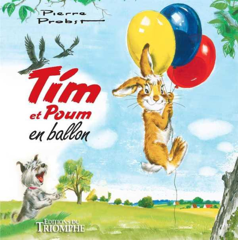 TIM & POUM - TIM ET POUM EN BALLON - PROBST PIERRE - TRIOMPHE