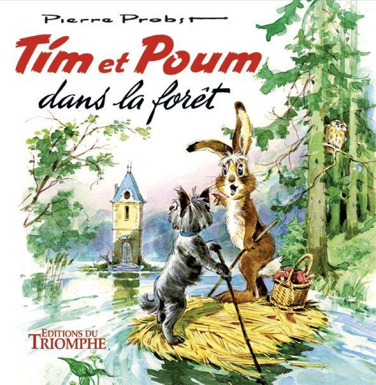 FANFAN - TIM ET POUM DANS LA FORET, TOME 1 - PROBST PIERRE - TRIOMPHE