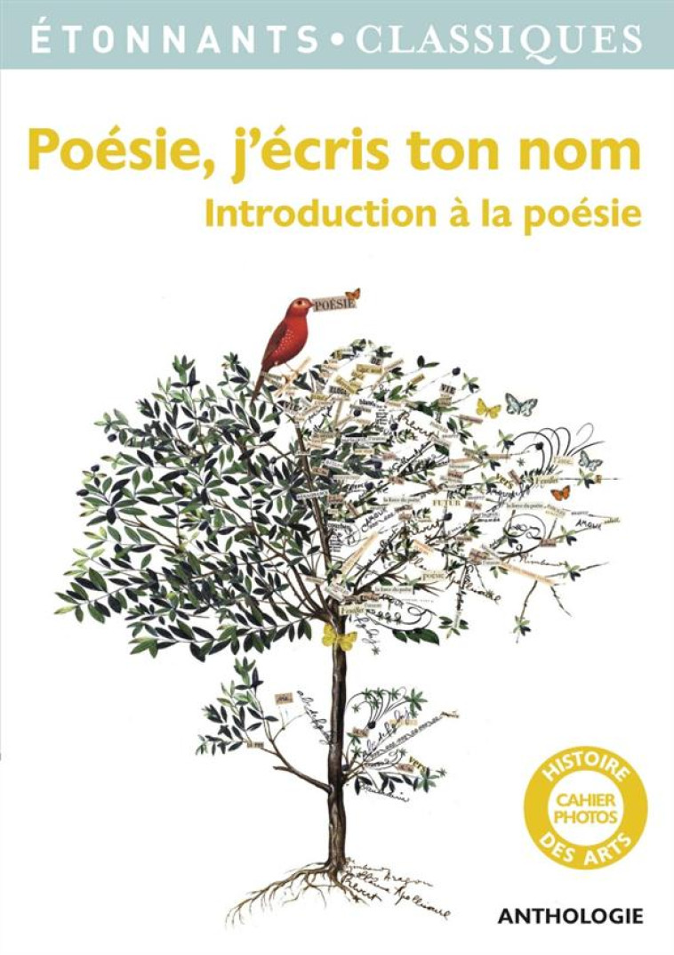 POESIE, J-ECRIS TON NOM - INTRODUCTION A LA POESIE - COLLECTIF - Flammarion