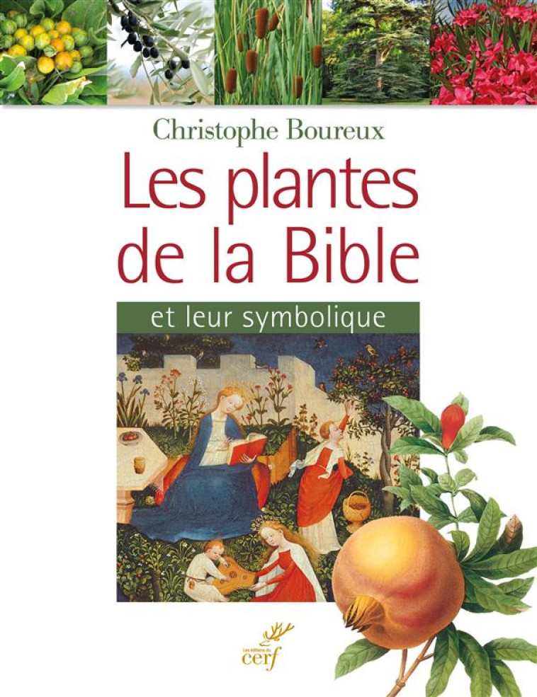 LES PLANTES DE LA BIBLE - BOUREUX CHRISTOPHE - Cerf