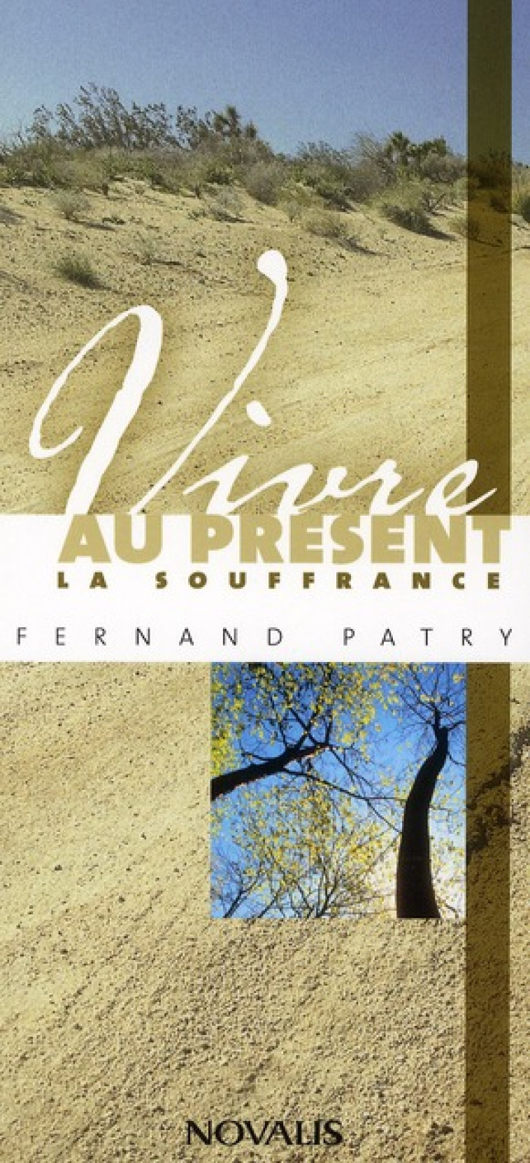 VIVRE AU PRESENT LA SOUFFRANCE - PATRY FERNAND - NOVALIS