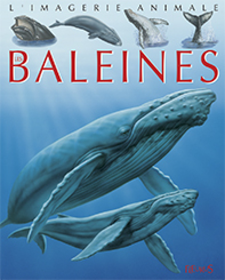 Les baleines - Agnès Vandewiele - FLEURUS