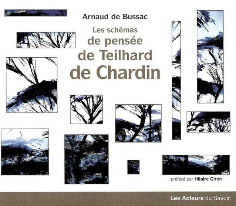 LES SCHEMAS DE PENSEE DE TEILHARD DE CHARDIN - DE BUSSAC ARNAUD - SAINT LEGER