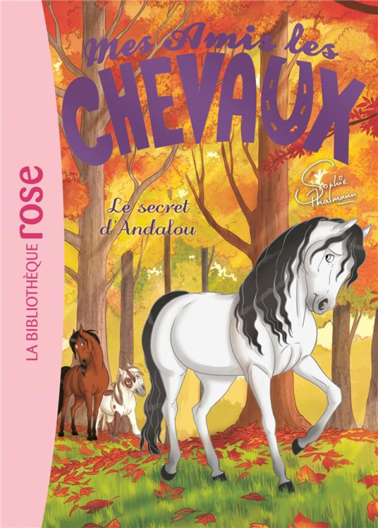 MES AMIS LES CHEVAUX - SOPHIE THALMANN - T19 - MES AMIS LES CHEVAUX 19 - LE SECRET D'ANDALOU - LIVRE/THALMANN - Hachette Jeunesse