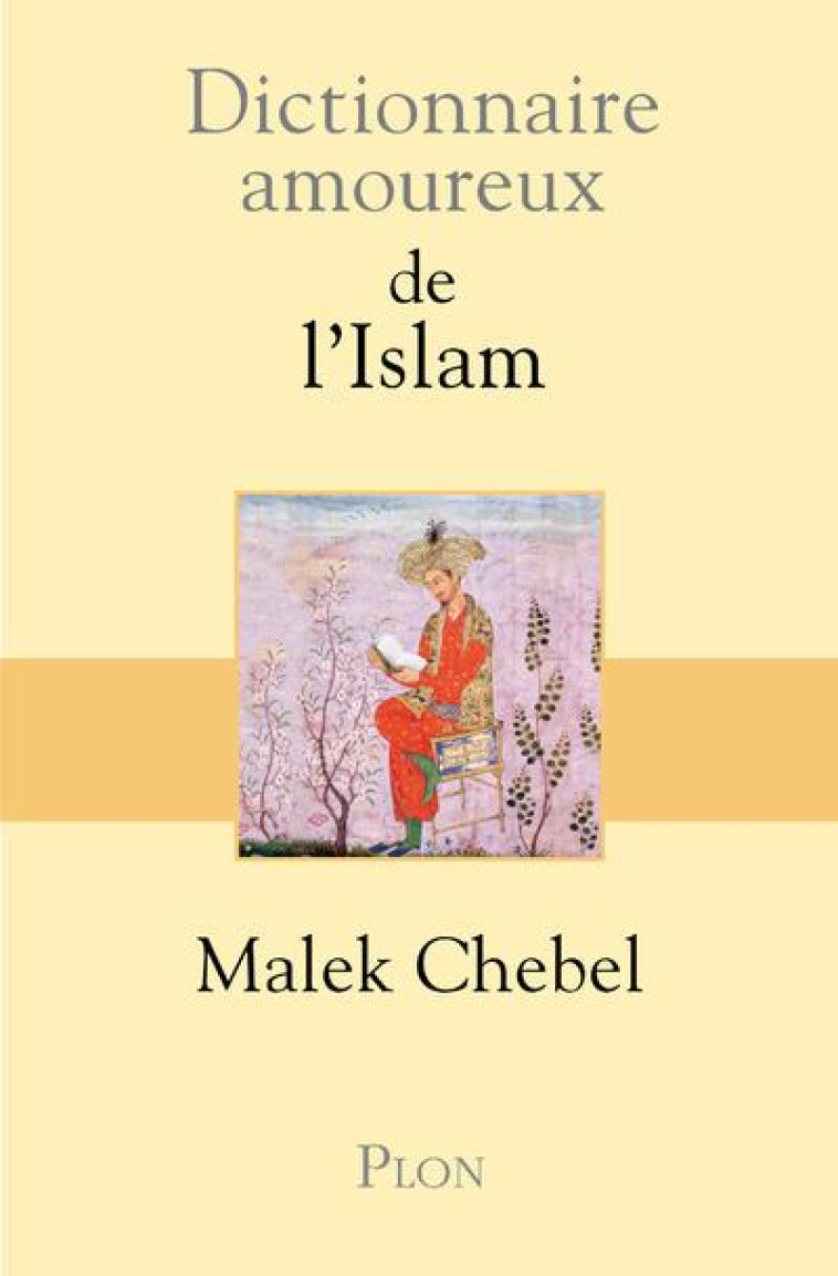 DICTIONNAIRE AMOUREUX DE L'ISLAM - CHEBEL/BOULDOUYRE - PLON