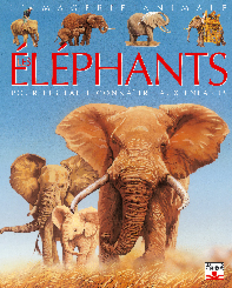 ELEPHANTS (LES) - Agnès Vandewiele - FLEURUS