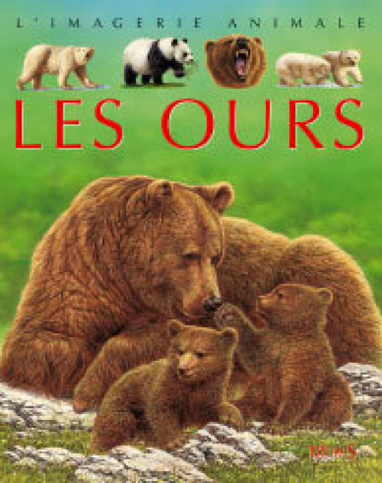 OURS - Sabine Boccador - FLEURUS