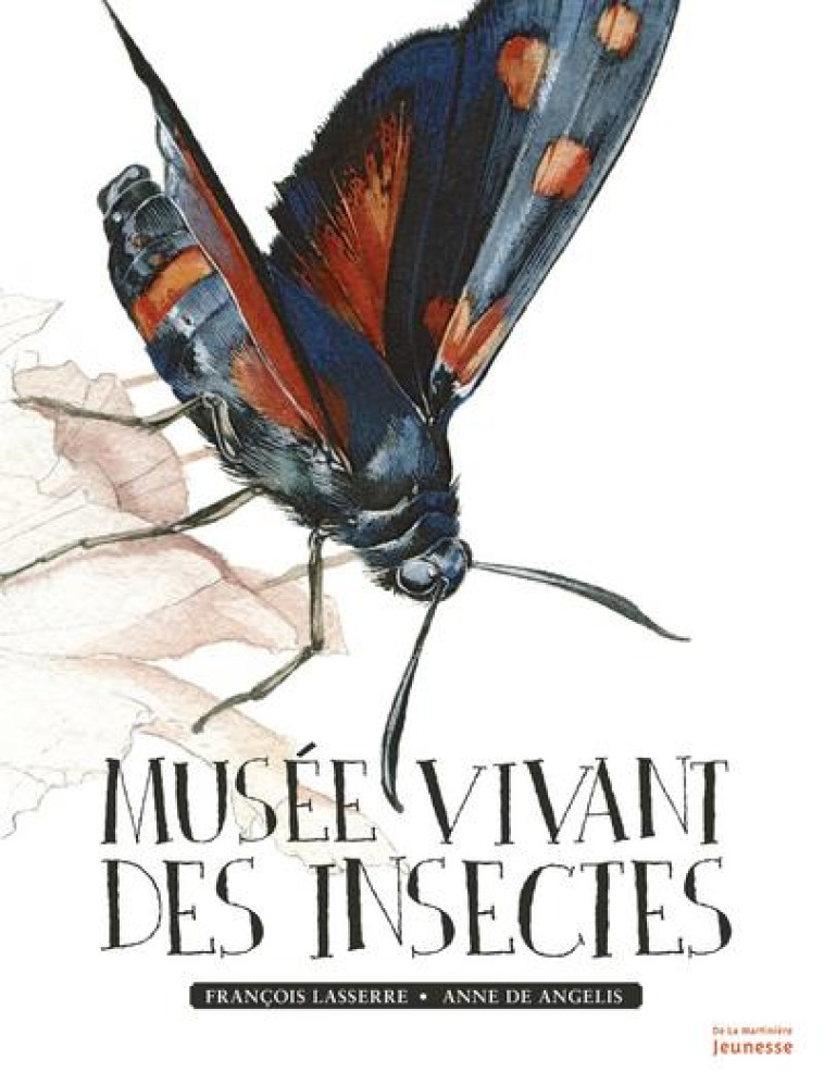 MUSEE VIVANT DES INSECTES - LASSERRE/DE ANGELIS - MARTINIERE BL