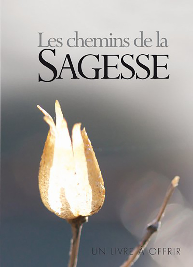 CHEMINS DE LA SAGESSE (LE) - GF - EXLEY  - EXLEY