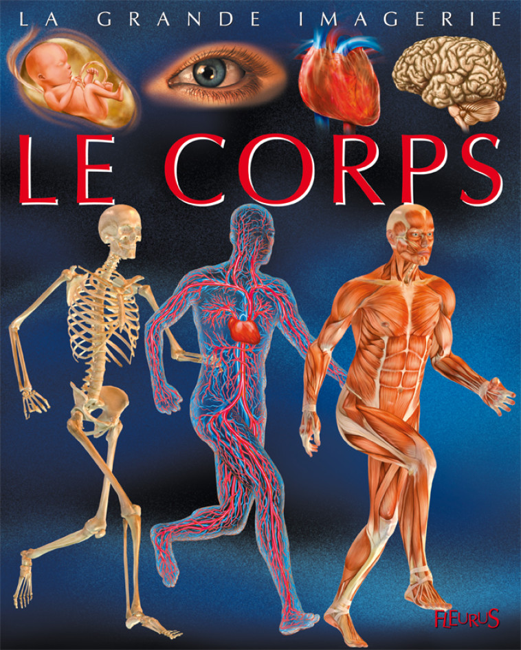 Le corps - Franco Cathy, Dayan Jacques - FLEURUS