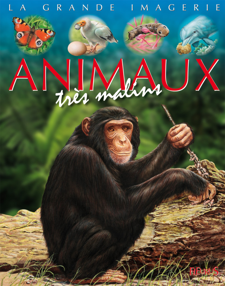 Les animaux très malins - Boccador Sabine, ALUNNI Bernard - FLEURUS