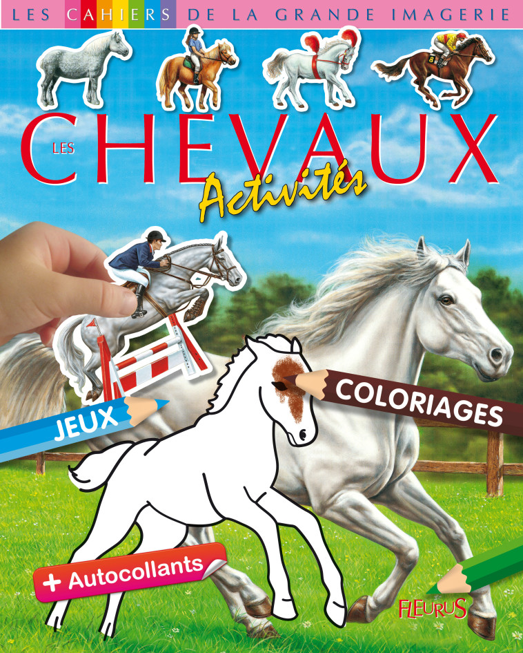 Chevaux - Beaujard Sophie - FLEURUS