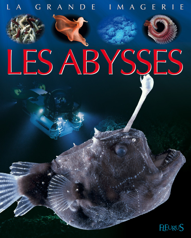 Les abysses - Cambournac Laure - FLEURUS