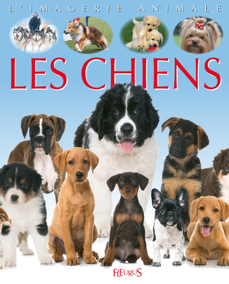 Les chiens - BEAUMONT/MIA - FLEURUS