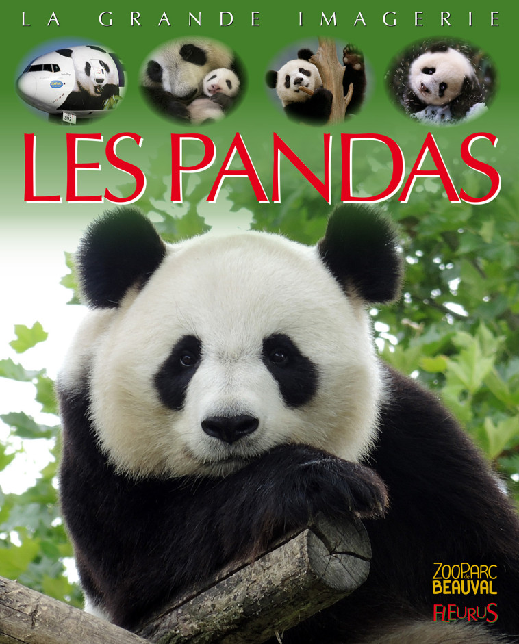 Les pandas - Redoulès Stéphanie - FLEURUS