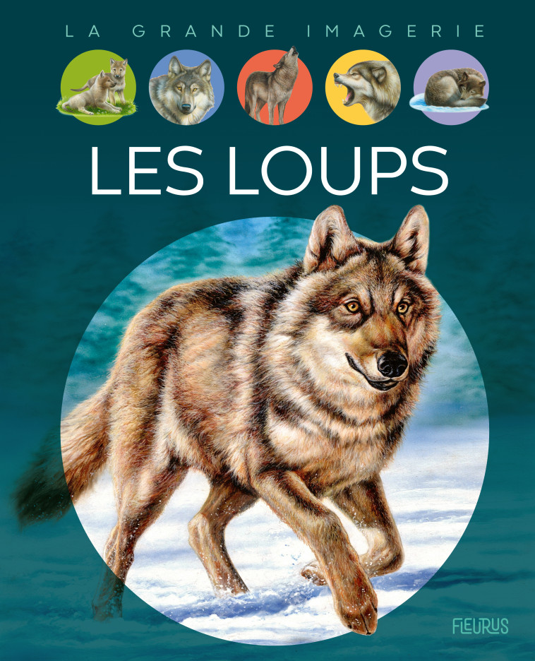 Les loups - Vandewiele Agnès, ALUNNI Bernard, Lemayeur Marie-Christine - FLEURUS