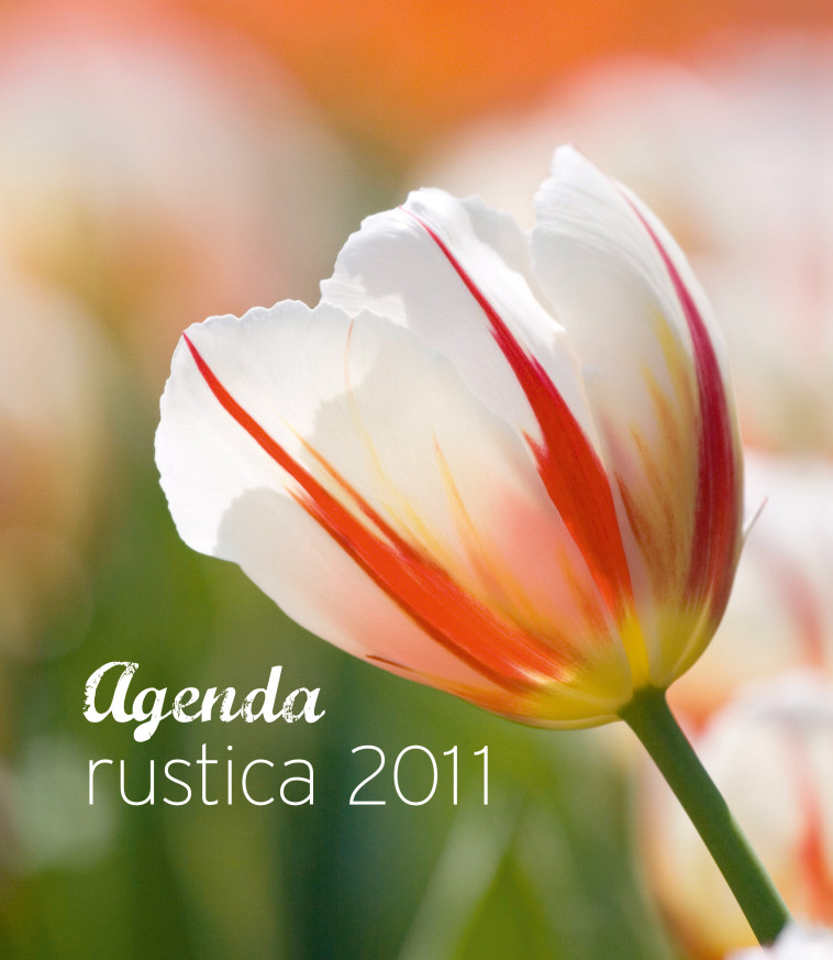 Agenda Rustica 2011 - Beauvais Michel - RUSTICA