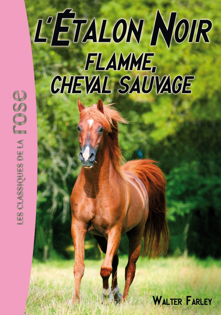 L'Étalon Noir 10 - Flamme, cheval sauvage - Walter Farley - HACHETTE JEUN.