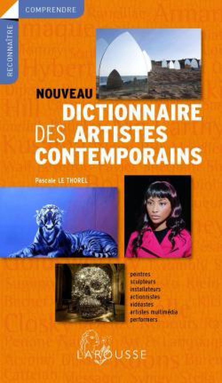 NOUVEAU DICTIONNAIRE DES ARTISTES CONTEMPOR AINS  - NOUVELLE EDITION - Pascale Le thorel - LAROUSSE