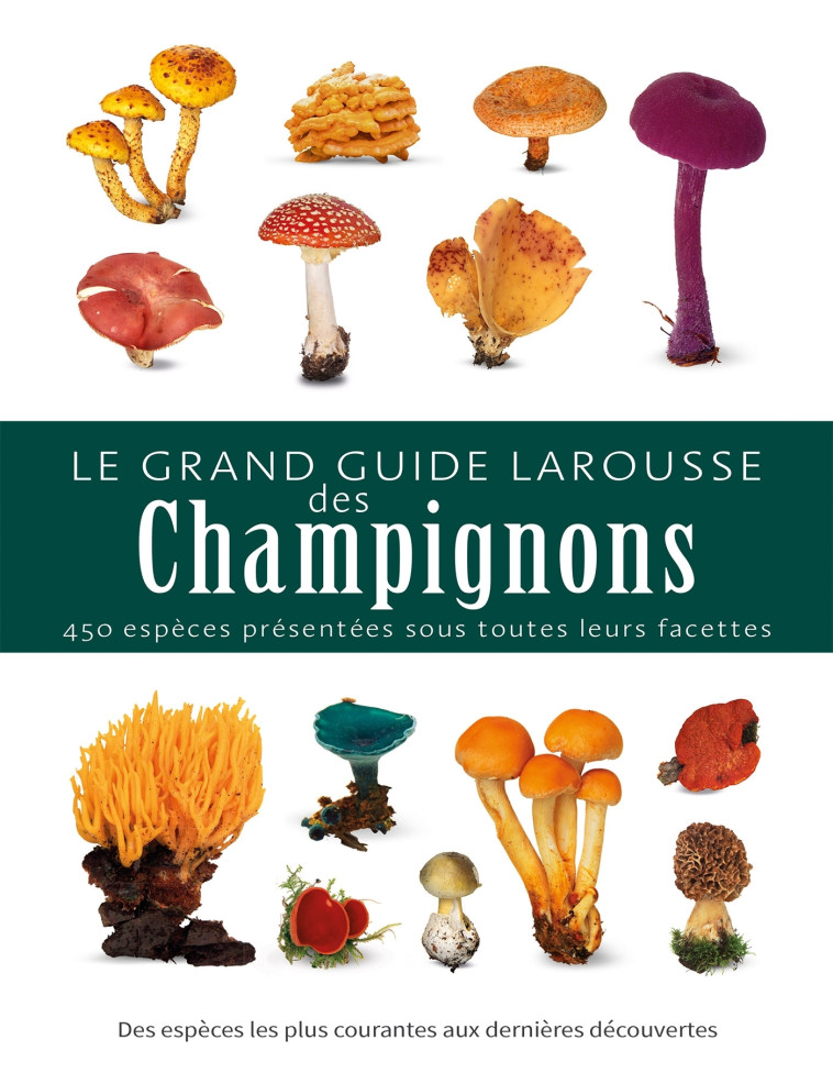 LE GRAND GUIDE LAROUSSE DES CHAMPIGNONS - Thomas Laessoe - LAROUSSE