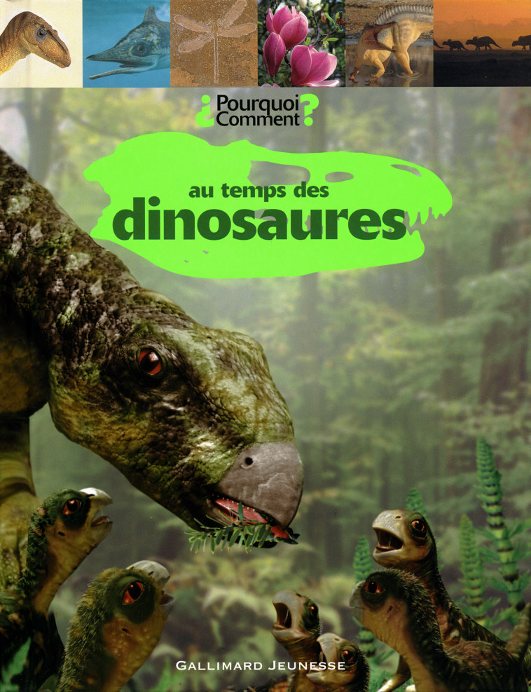 LES DINOSAURES -  COLLECTIFS JEUNESSE - GALLIMARD JEUNE