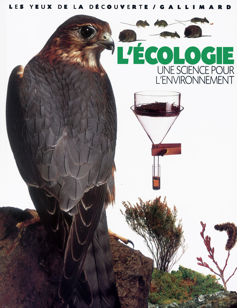 L'écologie - Steve Pollock, Guilhem Lesaffre - GALLIMARD JEUNE