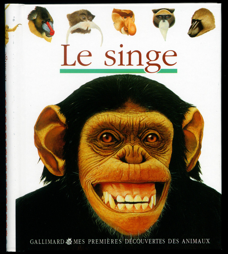 Le singe -  Collectif, Jame's Prunier - GALLIMARD JEUNE