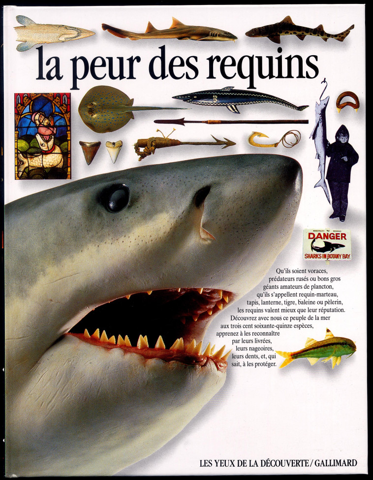 La peur des requins - Miranda MacQuitty, Frank Greenaway, Dave King - GALLIMARD JEUNE