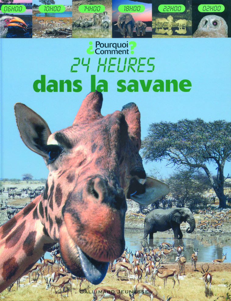 Dans la savane - Zahavit Shalev - GALLIMARD JEUNE