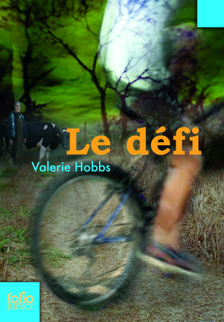 LE DEFI - Valerie Hobbs, Cécile Dutheil de la Rochère - GALLIMARD JEUNE