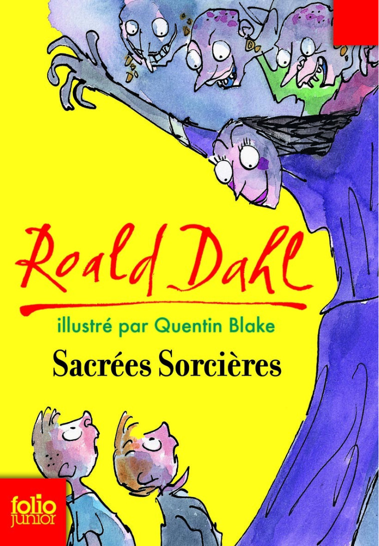 SACREES SORCIERES - Roald DAHL - GALLIMARD JEUNE