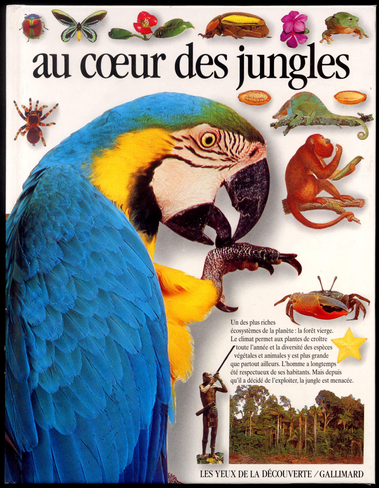 AU COEUR DES JUNGLES - THERESA GREENAWAY, Geoff Dann,  THERESA GREENAWAY - GALLIMARD JEUNE