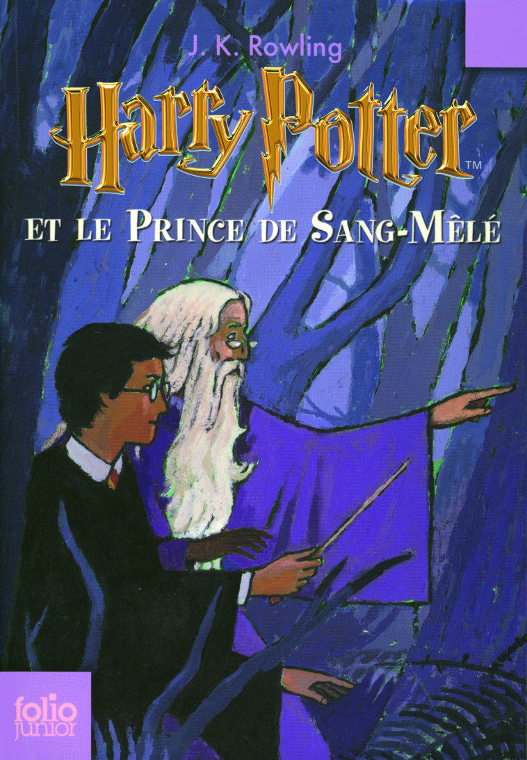 HARRY POTTER ET LE PRINCE DE SANG-MELE - J.K. ROWLING,  J.K. ROWLING - GALLIMARD JEUNE