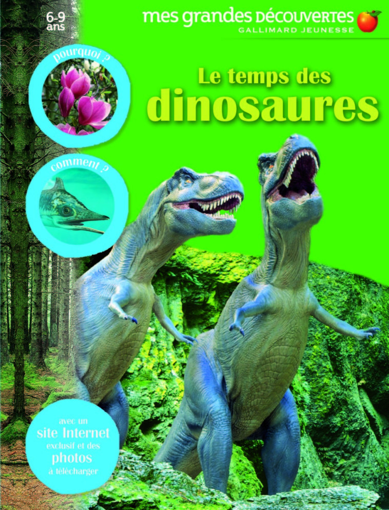 Le temps des dinosaures -  COLLECTIFS JEUNESSE - GALLIMARD JEUNE