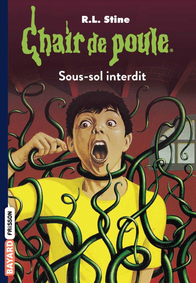 Chair de poule , Tome 17 - R.L Stine - BAYARD JEUNESSE