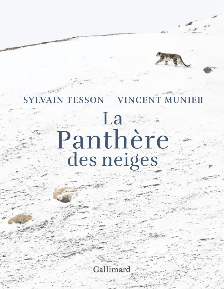 La panthère des neiges - Vincent Munier, Sylvain Tesson - GALLIM LOISIRS