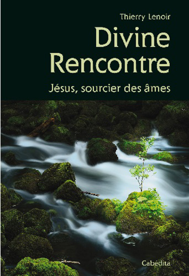 DIVINE RENCONTRE - LENOIR THIERRY - CABEDITA