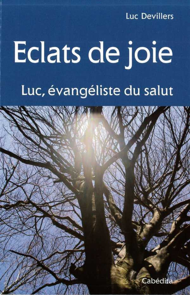 ECLATS DE JOIE, LUC EVANGELISTE DU SALUT - DEVILLERS LUC - CABEDITA