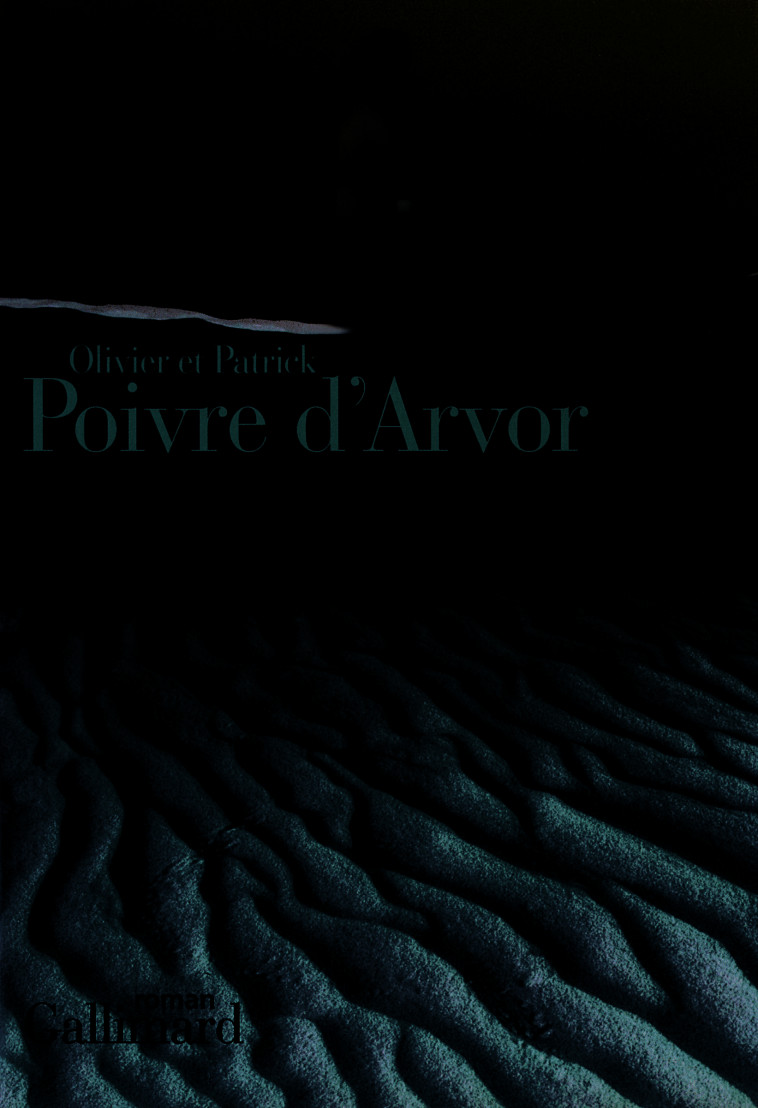 Disparaître - Olivier Poivre d'Arvor - GALLIMARD