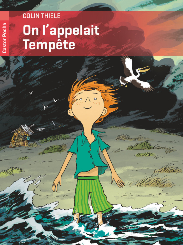 On l'appelait Tempête - Colin Thièle - PERE CASTOR