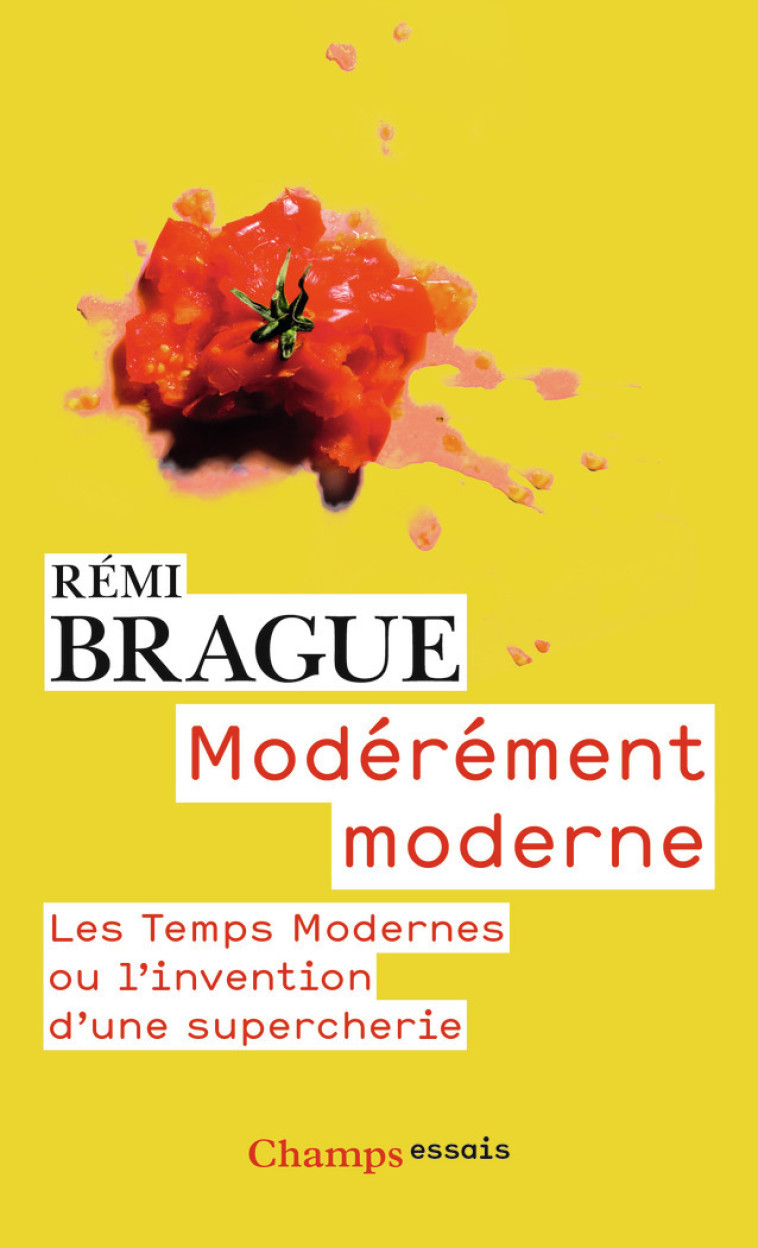 Modérément moderne - Rémi Brague - FLAMMARION