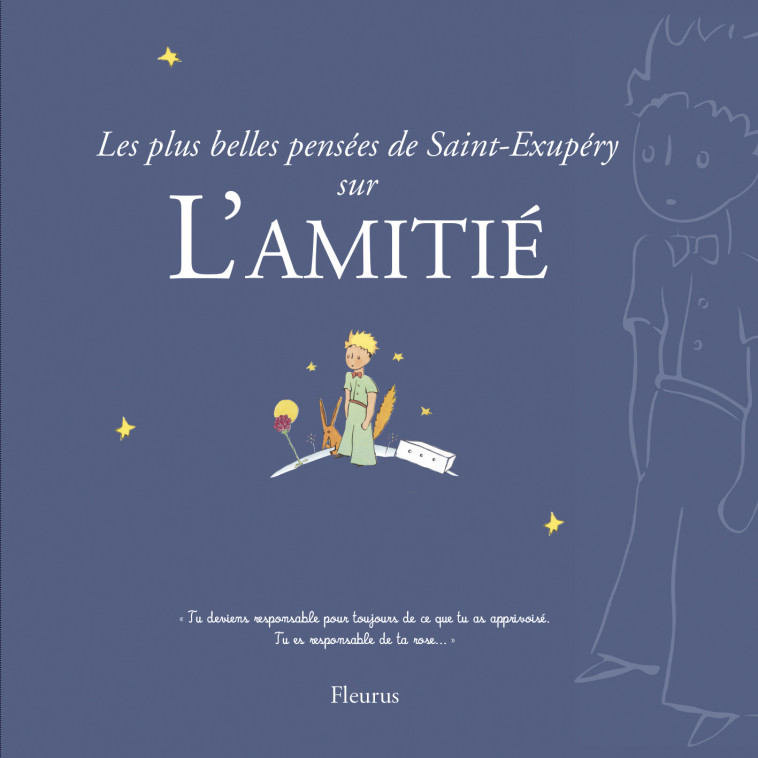 LES PLUS BELLES PENSEES D'ANTOINE DE SAINT-EXUPERY SUR L'AMITIE -  D'après Antoine de Saint-Exupéry - FLEURUS