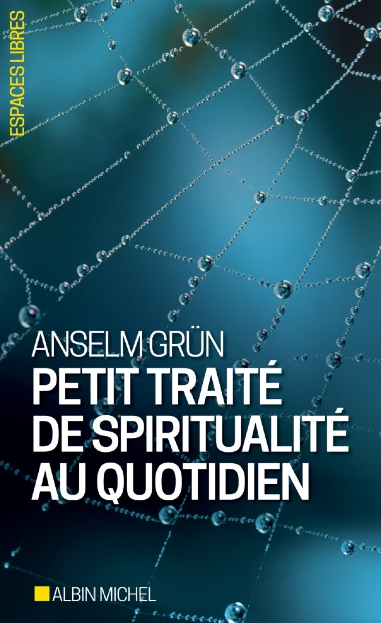 Petit Traité de spiritualité au quotidien - Anselm Grün - ALBIN MICHEL