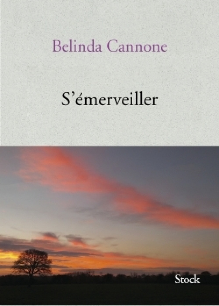 S'émerveiller - Belinda Cannone - STOCK