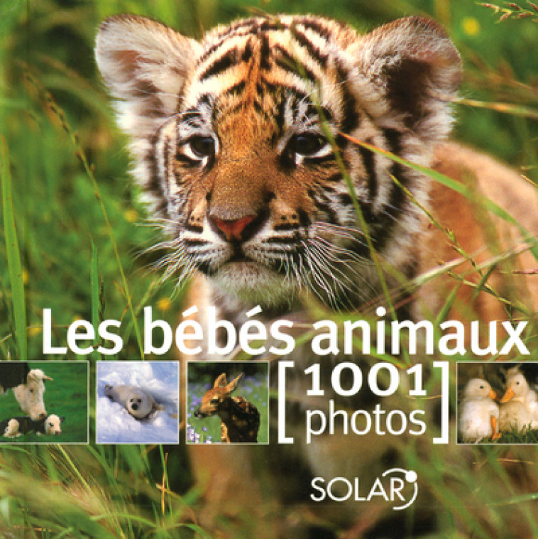 LES BEBES ANIMAUX EN 1000 PHOTOS - COLLECTIF - SOLAR