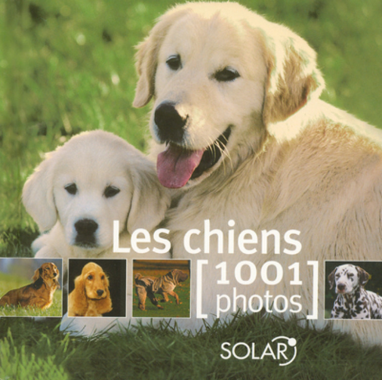 LES CHIENS EN 1000 PHOTOS - COLLECTIF - SOLAR