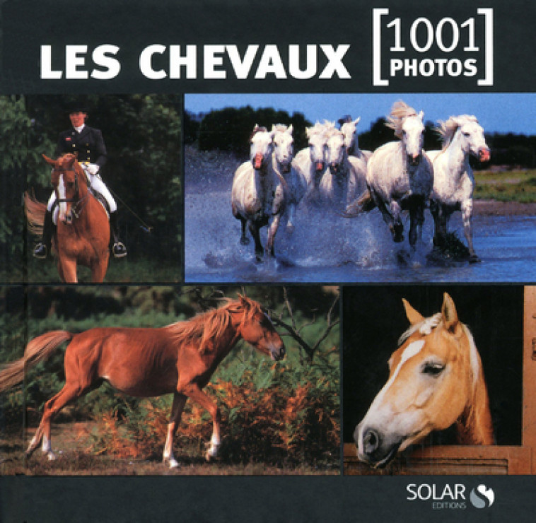 Les chevaux en 1001 photos - NE -  Collectif - SOLAR